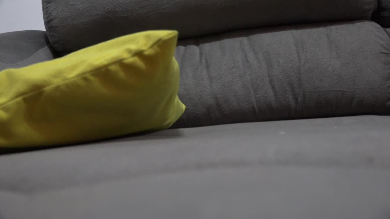 Hora dos podólatras ficaram loucos de tesão com Paola Gurgel e Ale Carvalho