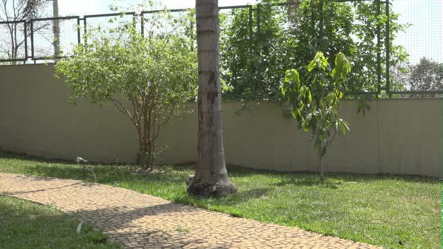Safira Prado e Amanda Souza brincaram de Camiseta Molhada na Casa