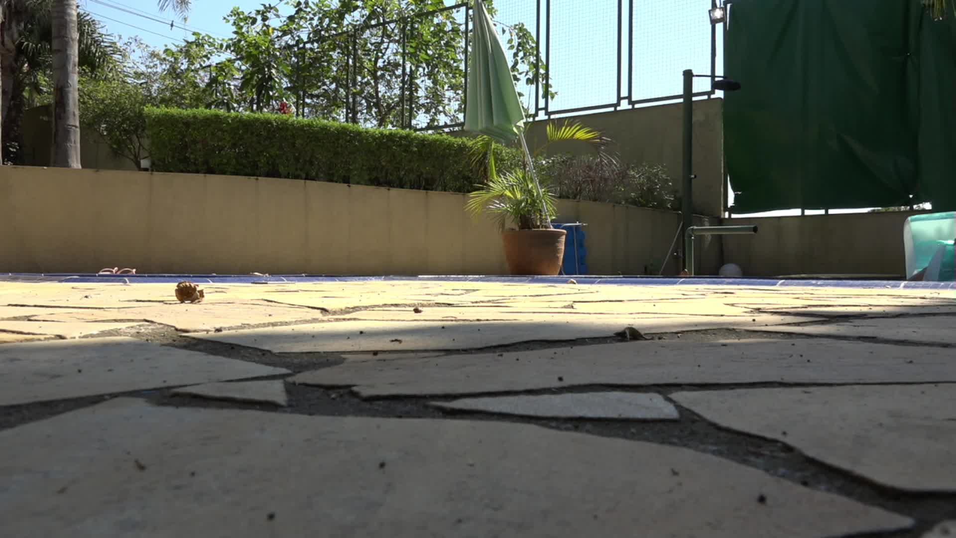 Giovanna Ferry curtiu a piscina da Casa das Brasileirinhas