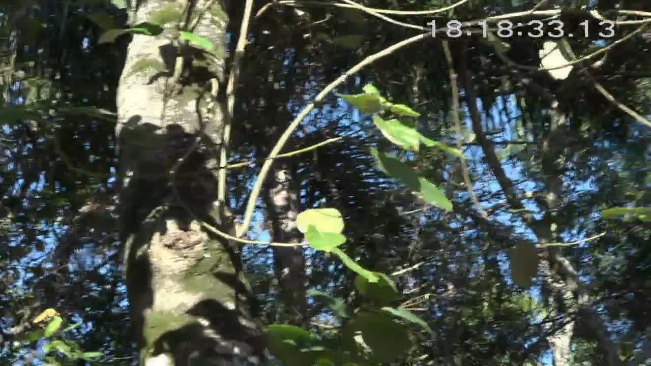 Na brincadeira do Twister, as gatas se enrolaram e caíram na risada