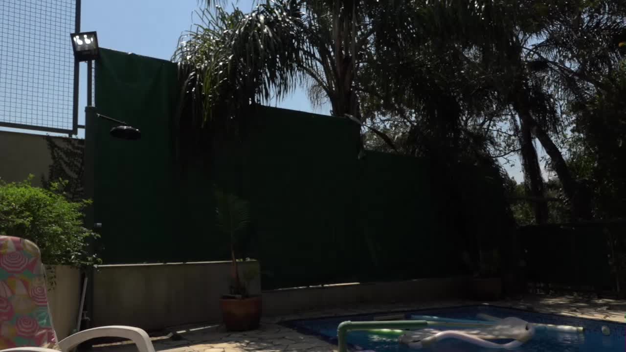 Safira e Amanda se depilaram AO VIVO na Casa das Brasileirinhas