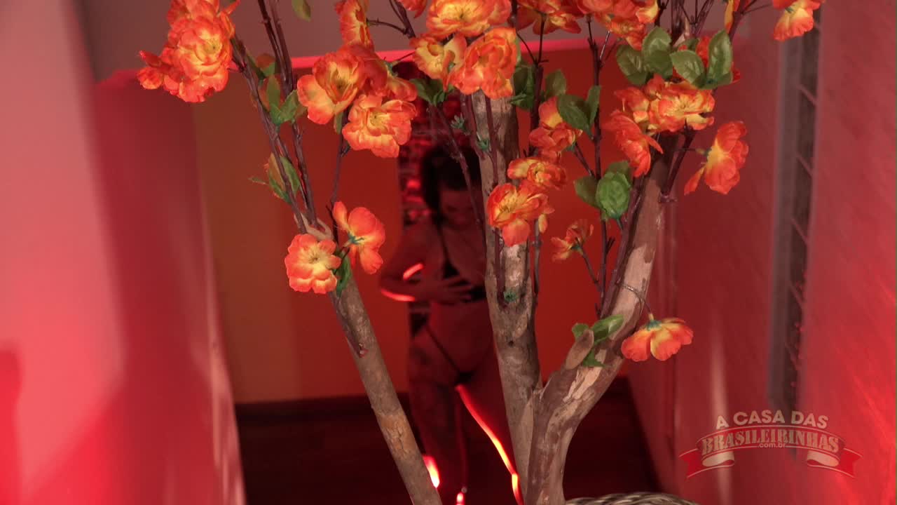Carol Fênix pornô com a gostosa nua e lambuzada no óleo