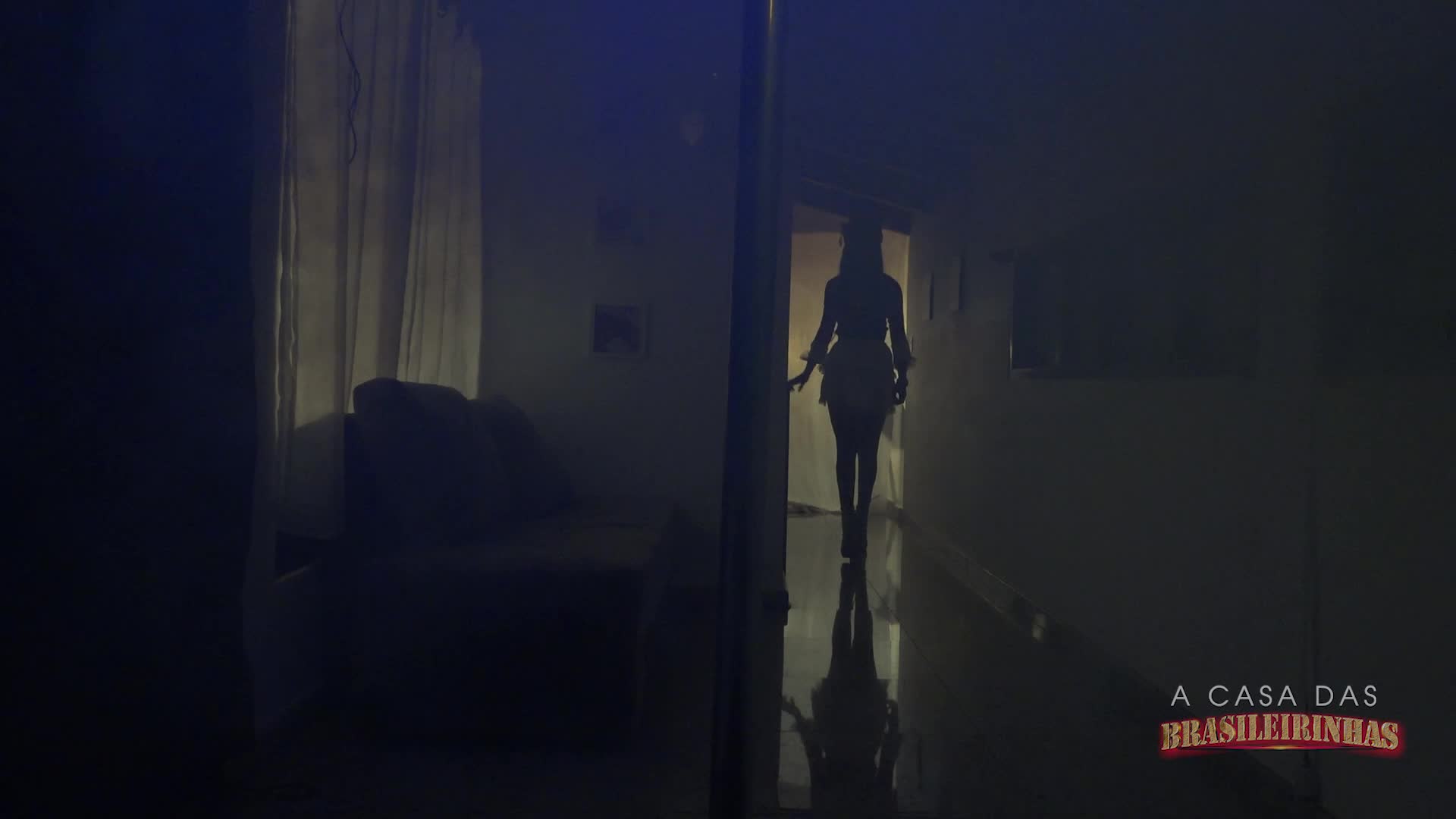 Confira a apresentação de pole dance com a gata Shayenne