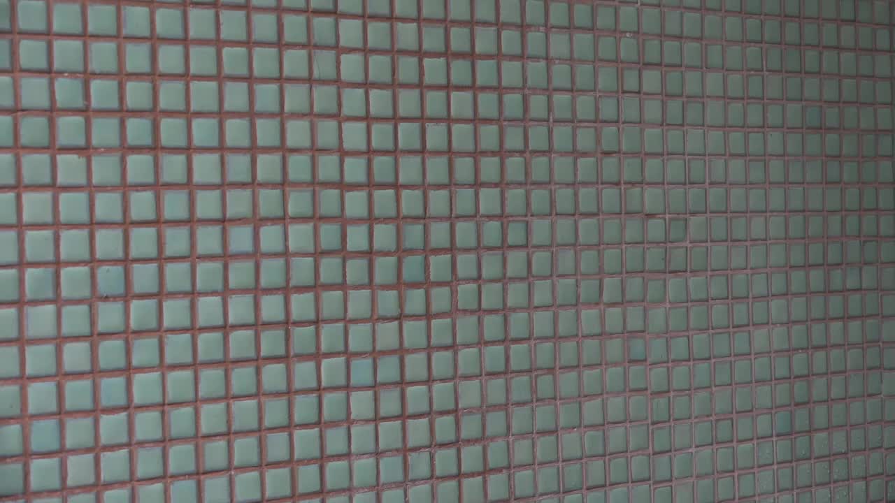 Amanda Souza mostrando os peitos através da Camiseta Molhada
